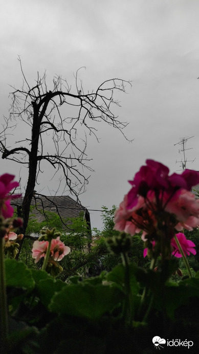 Budapest XIV.ker - Alsórákos