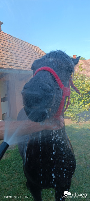 Hűsölés
