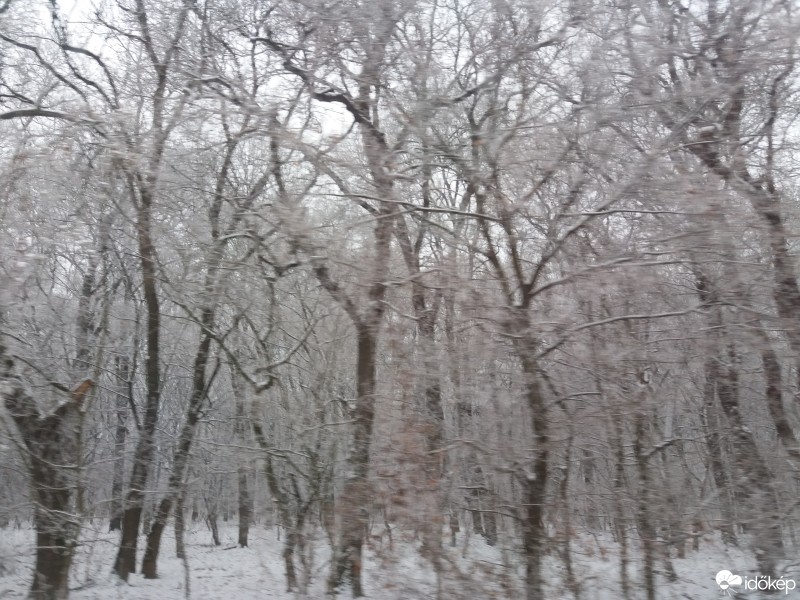 Sarkad