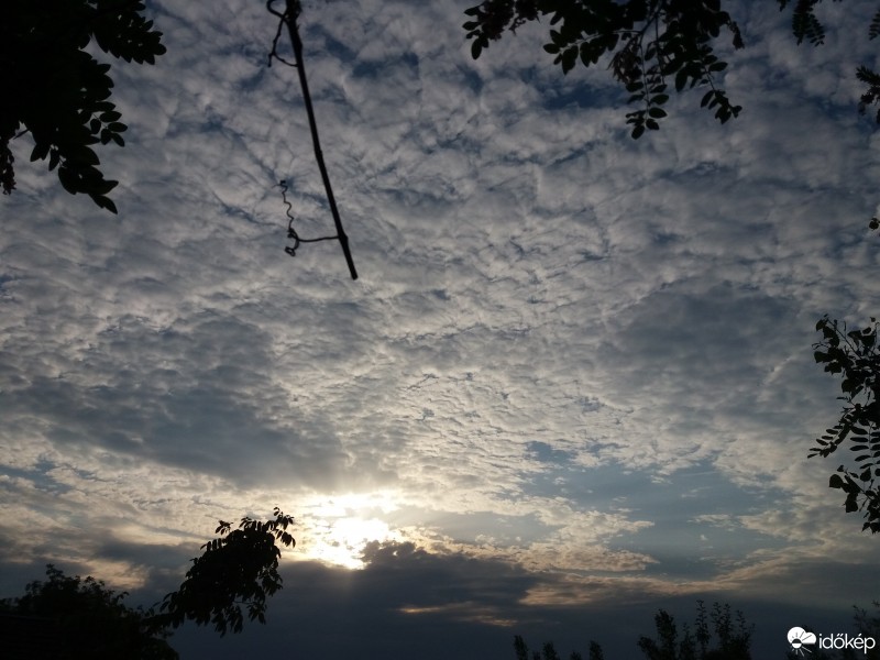 Sarkad