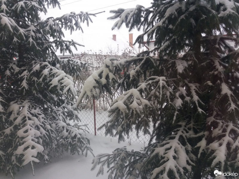 Sarkad