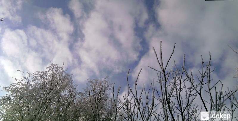 Sarkad