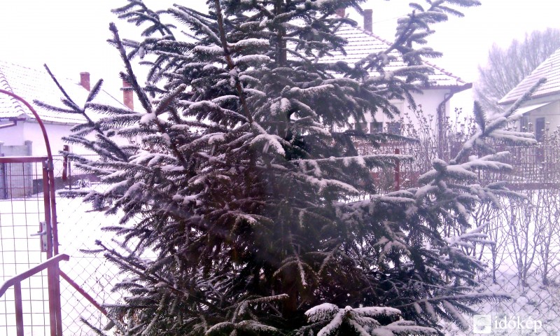 Sarkad