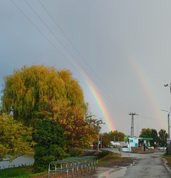 Sarkad