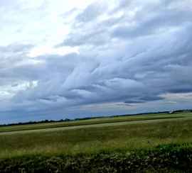 Sarkad