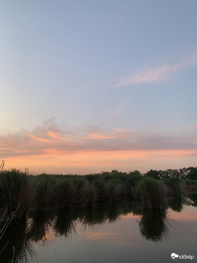 Tisza