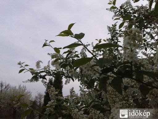 Zalaegerszeg, 2016. 04.13. 16 óra