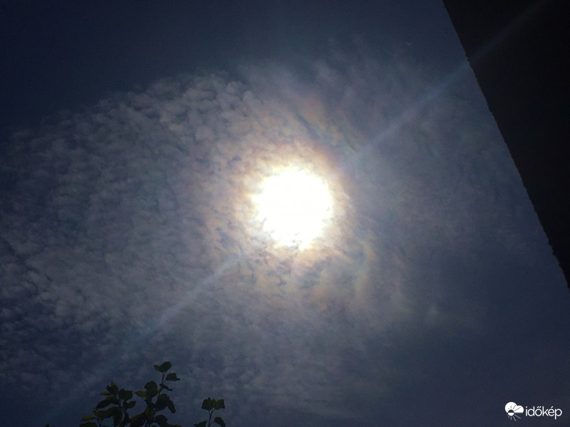 Délelőtti napkoszorú 2.