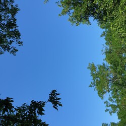 Ladánybene