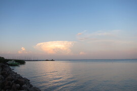 Egy távoli üllő Balatonfüredről-1