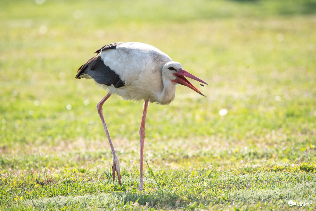 A reggeli utolsó pillanata