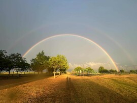Szigetszentmiklós