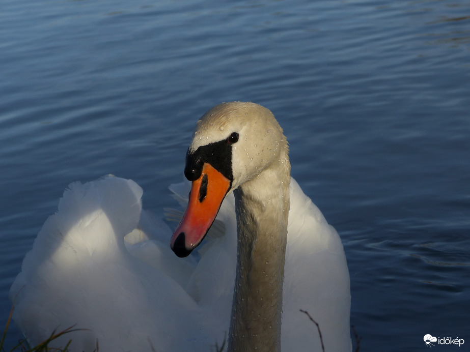 Hosszú séta a Dunaparton