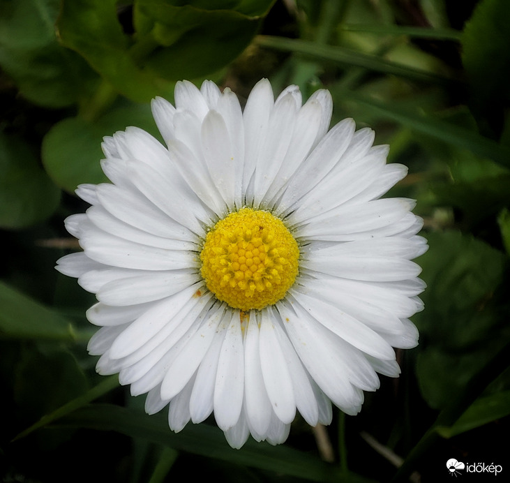 Nagypénteki napfürdő