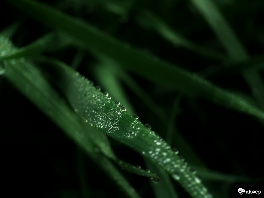 Végre elállt az eső 