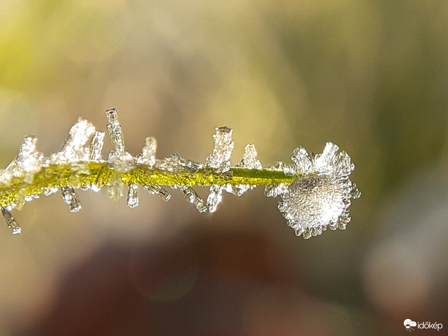Megjöttek Derecskéről