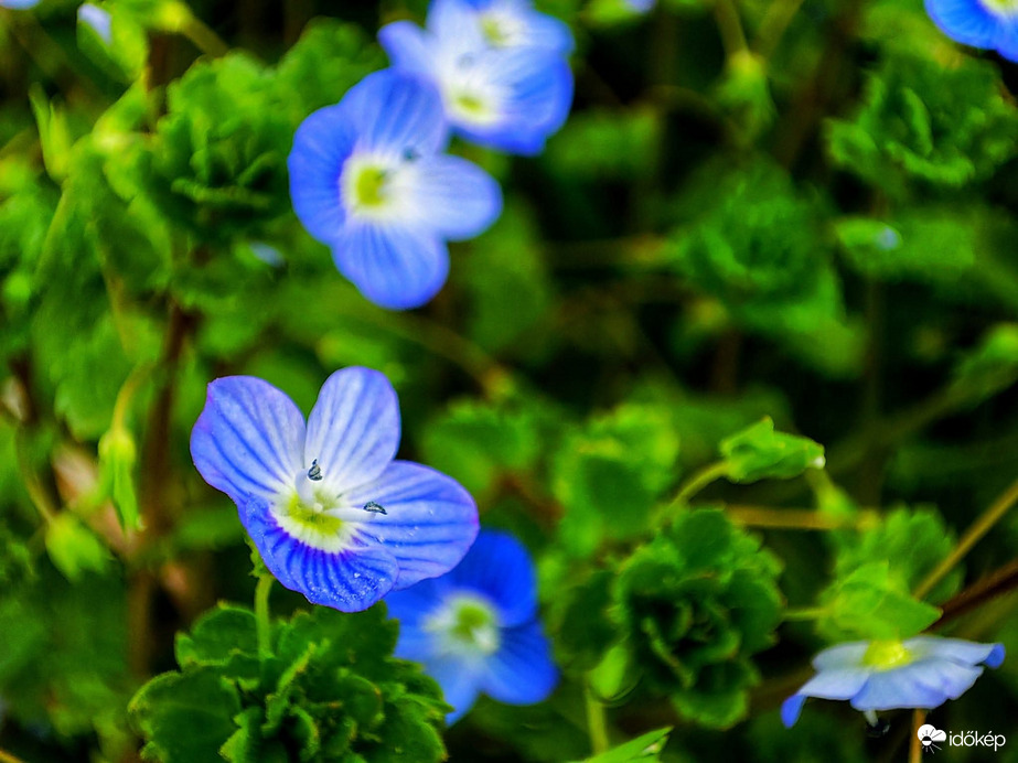 Végre kisütött a Nap