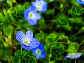 Végre kisütött a Nap