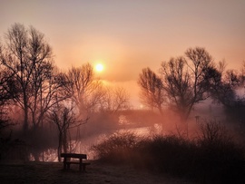 Aranypárás dunaparti napkelte 