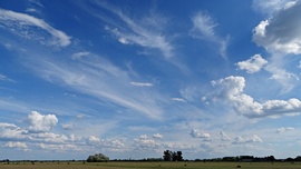Homokmégy