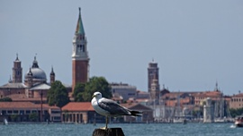 Sirály panoráma