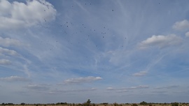 Homokmégy