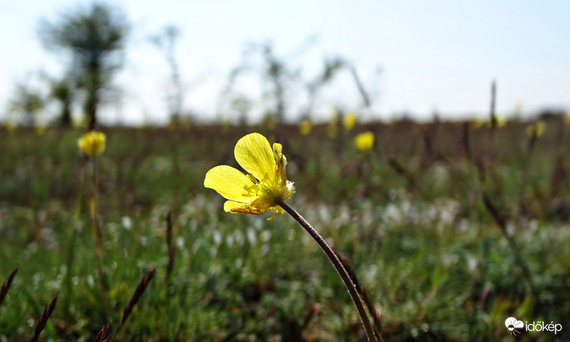 A "lábnyomod" alatt...