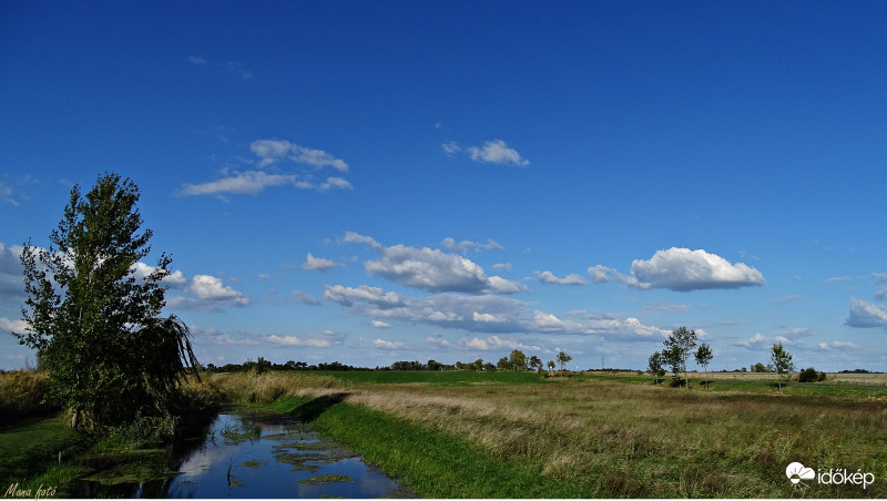 Homokmégy