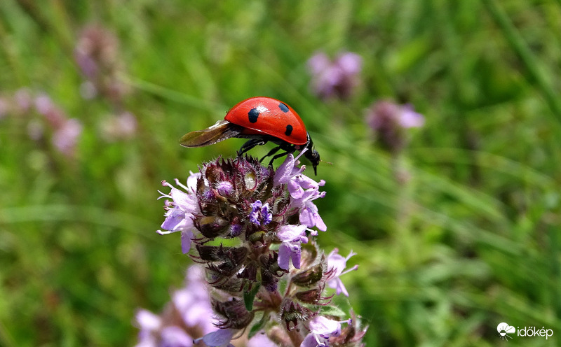 Leszállás!...vagy fel?!