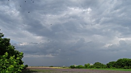 Homokmégy