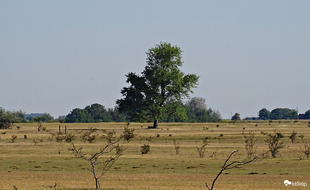"Ég a napmelegtől..."