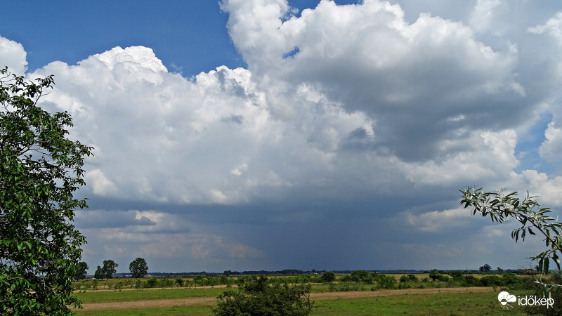 Homokmégy