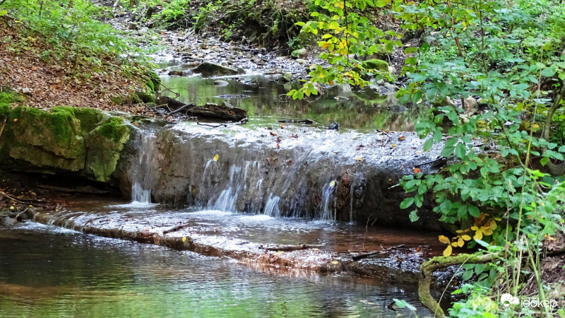 Kelet-Mecsek, Réka-völgy.