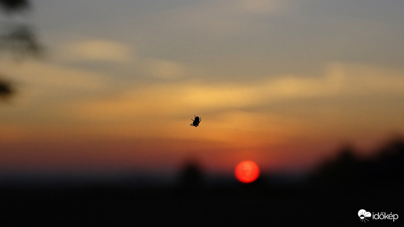 Reggeli szösszenet!