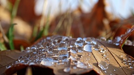 Délutánra kisütött a Nap!