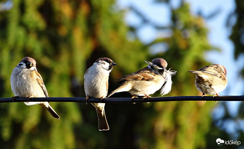 Stratégiai megbeszélés reggel.