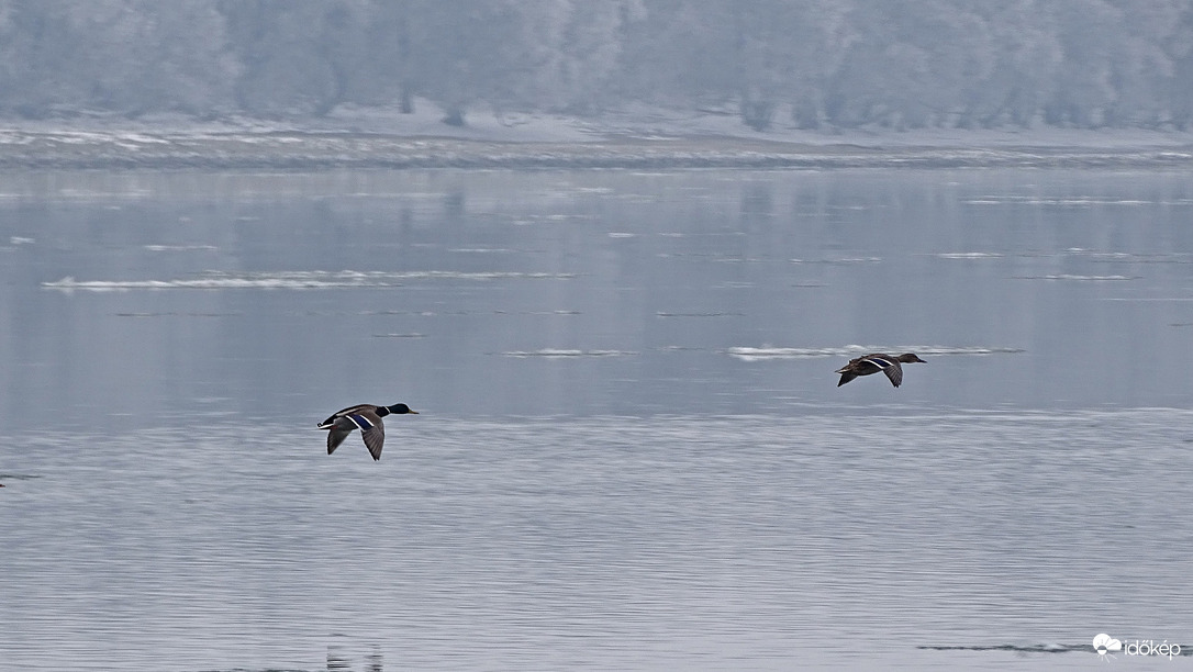 Élet a jeges Dunán