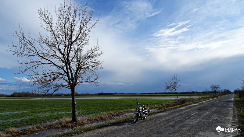 Homokmégy