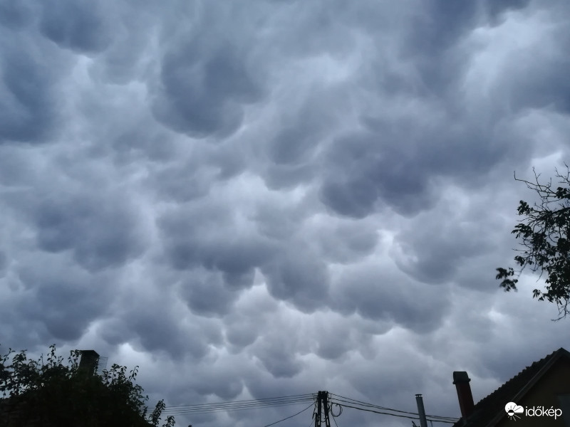 Mammatus