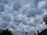 Mammatus
