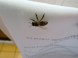 OK! Legközelebb itt mosatok!