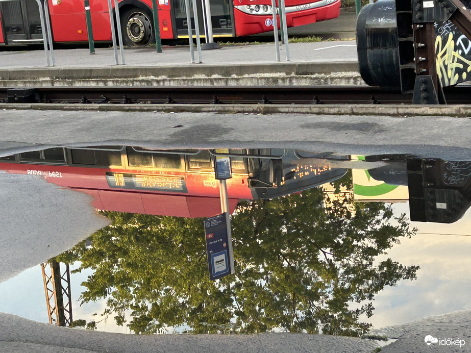 Tükröm, tükröm mond m nékem..