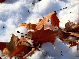 Átfedés: múlt és jelen