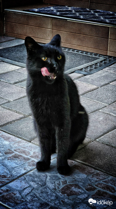 Tárnok