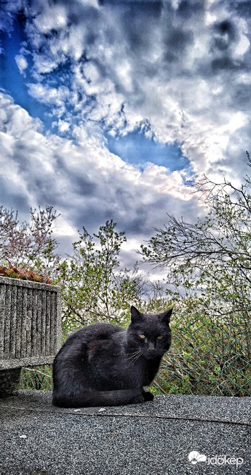 Tárnok