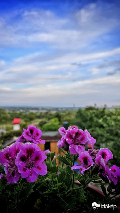 Tárnok