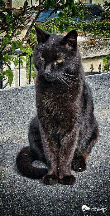 Tárnok