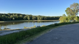 A holtág