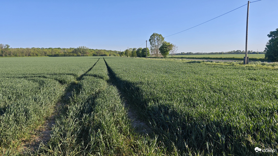 Zöldellő tavasz
