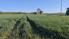 Zöldellő tavasz